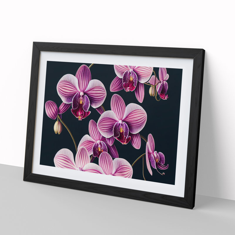 Sparkling Orchid Flowers - Single Picture Frame Print, 46cm H x 64cm W x 2cm D, Black