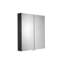 Dawley Double Door Black Steel Bathroom Mirror Cabinet