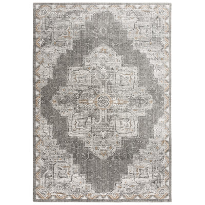 Maxy Oriental Indoor Rug