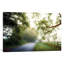 «August's Fog» par Adelino Goncalves - reproduction de photo sur toile tendue-71996077-71996078-72009257