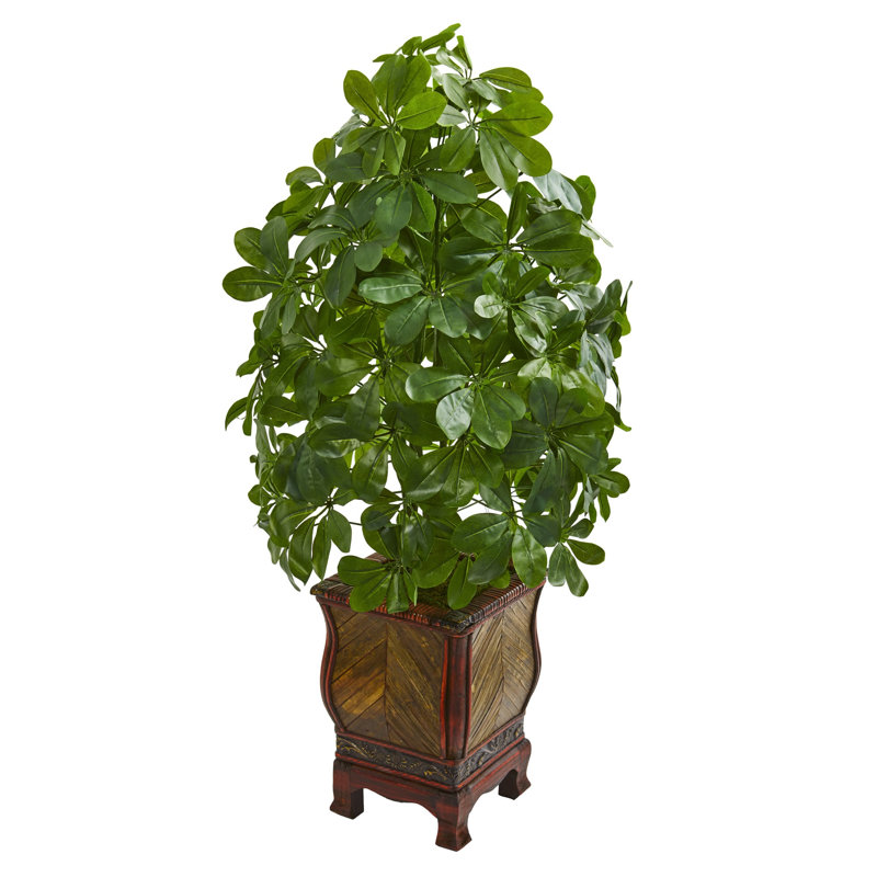 Schefflera Artificial Plant in Decorative Planter