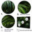 «Emerald Jungle Palm Leaves Embrace», reproduction sur toile-97092727-97092728