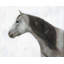 Napperon Winter Horse