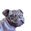 Dog Year Round Use Polyresin Garden Statue