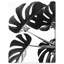 Feuille de Monstera I - Impression sur toile-50589569-57983133