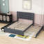 Lit plateforme tapissier avec tiroirs et lit gigogne Vanderhoof-231932575-231932573