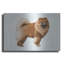 «Chow Chow» par Harro Maass-2064251929