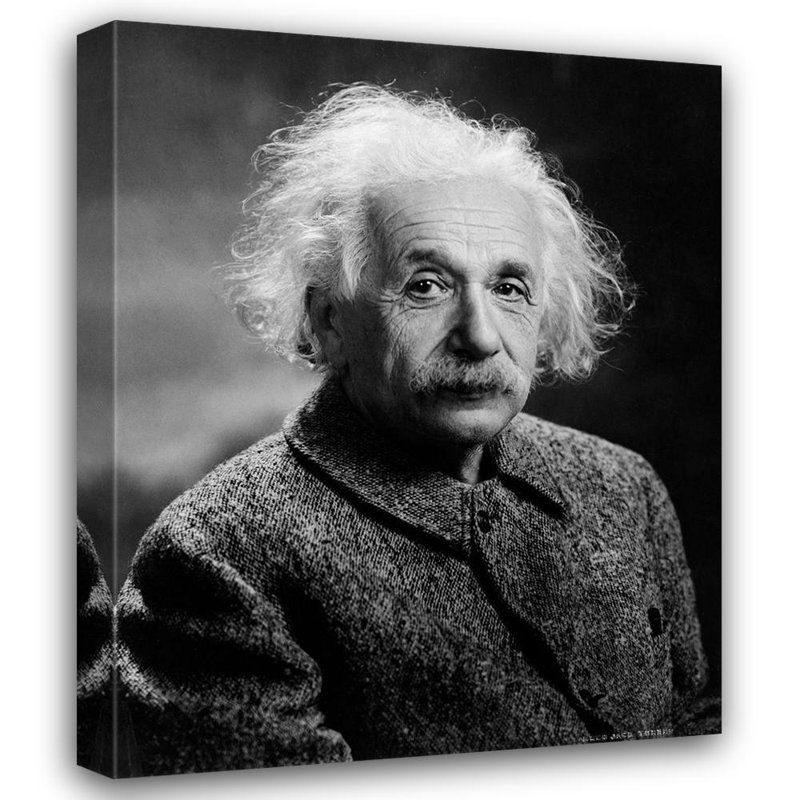 Hokku Designs, photographie rétro sur toile tendue, art: Einstein 67423, H 18 po x l 15 po