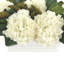 Floral Arrangement with Hydrangeas and Magnolia Leaves