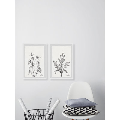 " Nettle And Eucola " 2 - Pieces