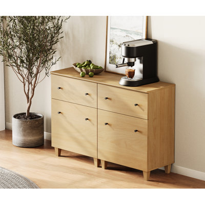 Lysiane Solid Wood 2 - Door Accent Cabinet