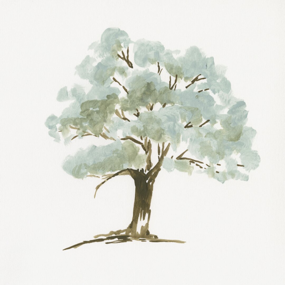 Leinwandbild Mint Tree I von Jennifer Goldberger