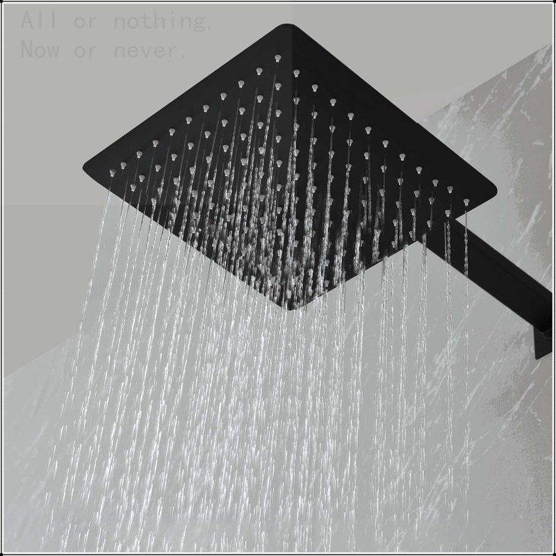 Pomme de douche murale à pluie 10 po, Noir mat