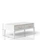 Alayna 2-Drawer Cocktail Table
