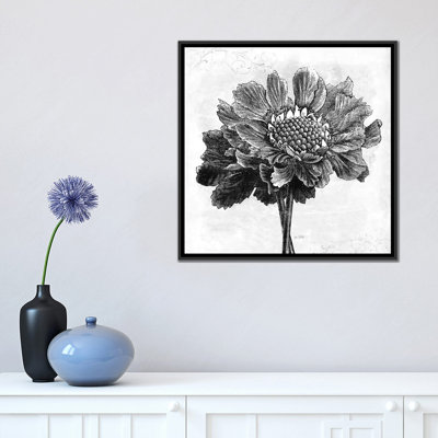 " Spa Botanical I, B&W " by Katie Pertiet