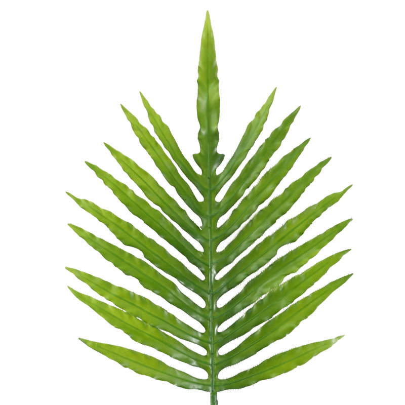 Andarius Arrangement