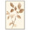 Sépia brins II, reproduction d'art sur toile, Art naturel par Art Remedy
