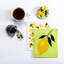 Ensemble de 2 torchons citrons
