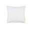 Housse de coussin d'extérieur carré et insert-1670144129