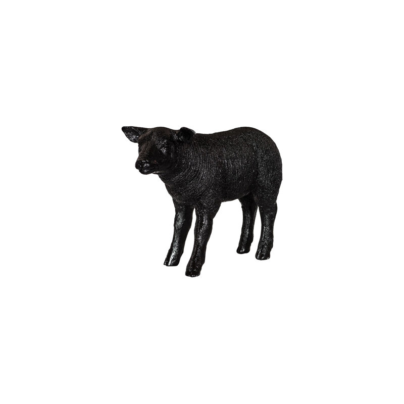 Mouton Texelaar, agneau, gelcoat noir