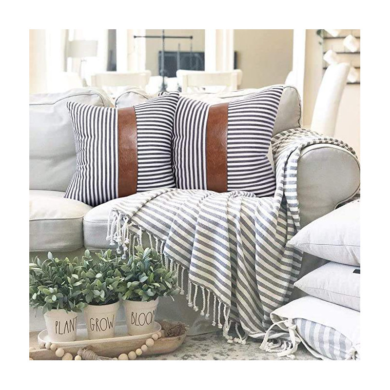  Coussin avec insert 18 po x 18 po Stripe