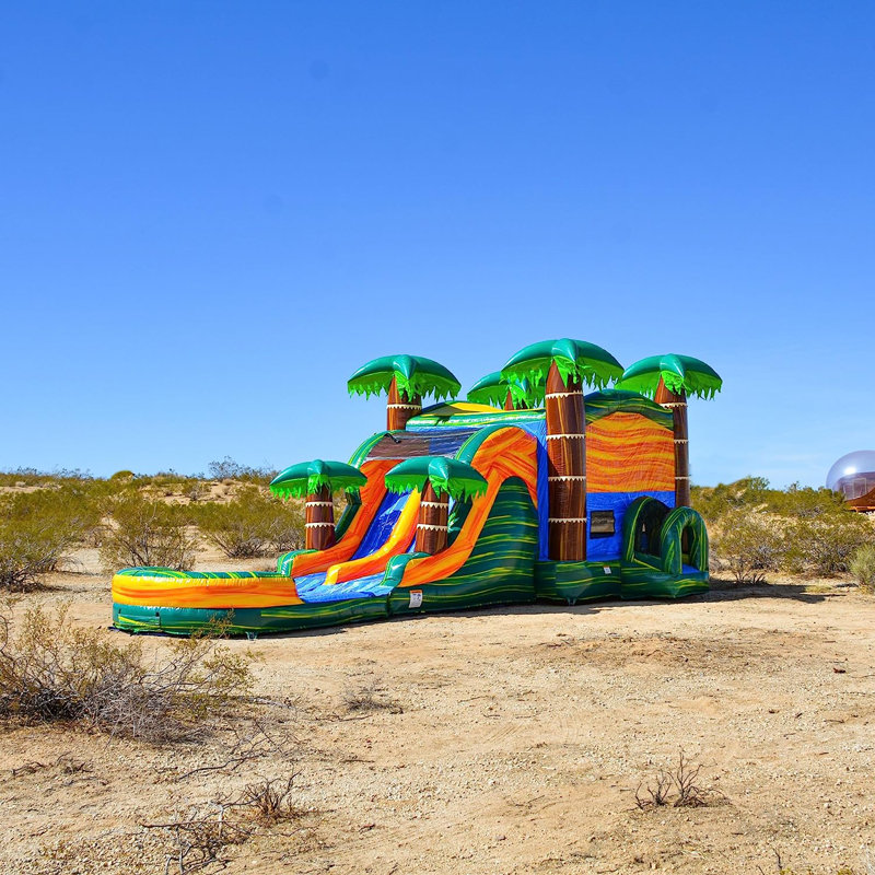 Toboggan aquatique avec piscine Splash JumpOrange Cali Palms