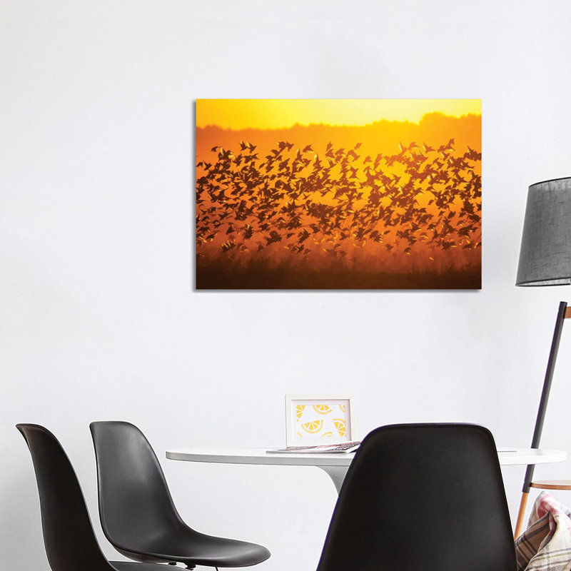 Murmuration 1 Piece Wrapped Canvas Wall Art, 101.6 cm H x 66.04 cm W x 1.91 cm D