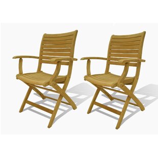Marsily Wood Outdoor Lounge Chair (Set of 2)