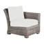 Rustic Patio Lounge Chair with Cushions-1110726972-1172305664-1147648280