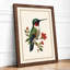 Hummingbird and Blossoms Botanical - Framed Print-644879273-644879277