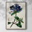 AntiqueFloralFolioIV, reproduction encadrée - bois massif 2768839-362104784