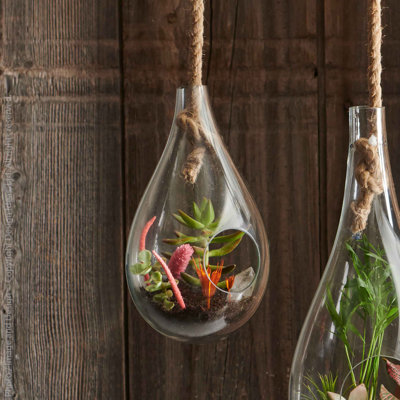 Handmade Glass Terrarium