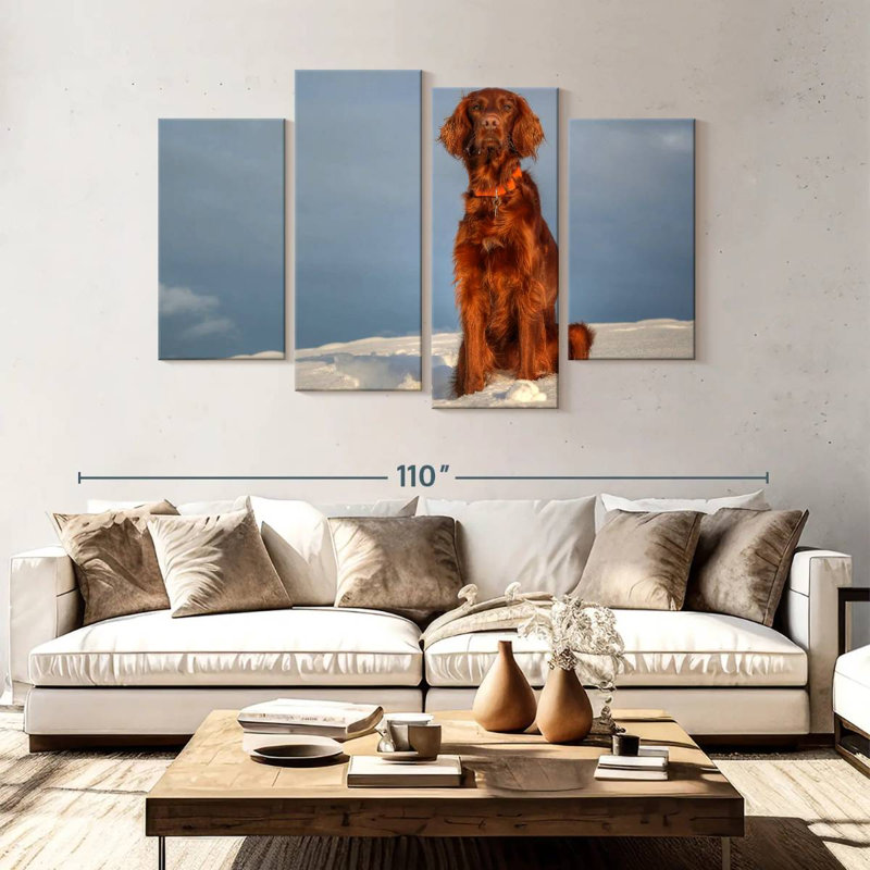 Setter irlandais Brampt sur neige, H 54 po x l 84 po