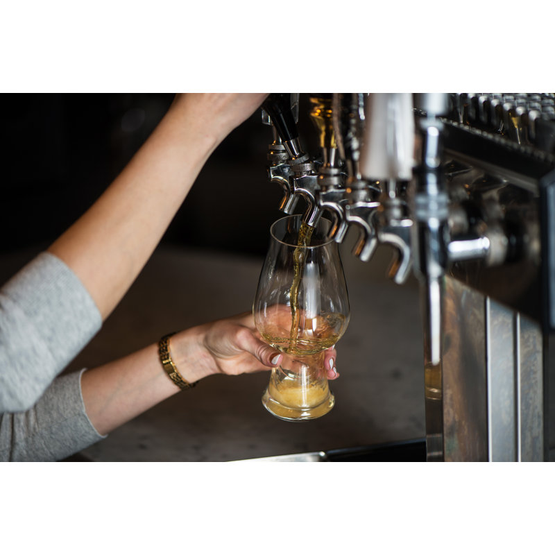 Birrateque 18 oz. Glass Pint Glass, 18.25 oz