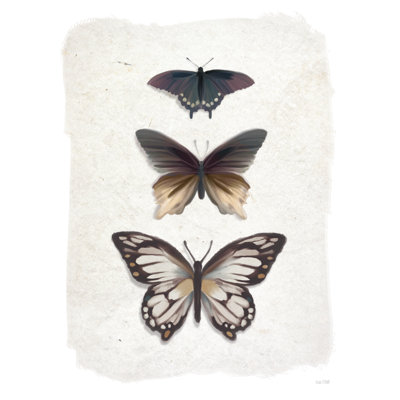 Papillons patinés par House Fenway