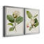 «Magnolia Flowers I», ensemble de 2 reproductions d'art sur toile encadrées-2102747808-2102747812
