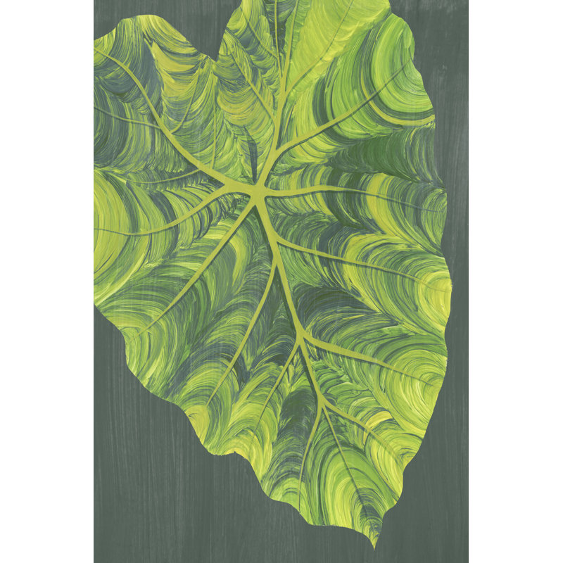 Elephant Ears I by Grace Popp - Painting, 30 cm H x 20 cm W, Black Floater Framed