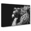 Majestic Lion Illustration In Abstract - Wrapped Canvas-55308508