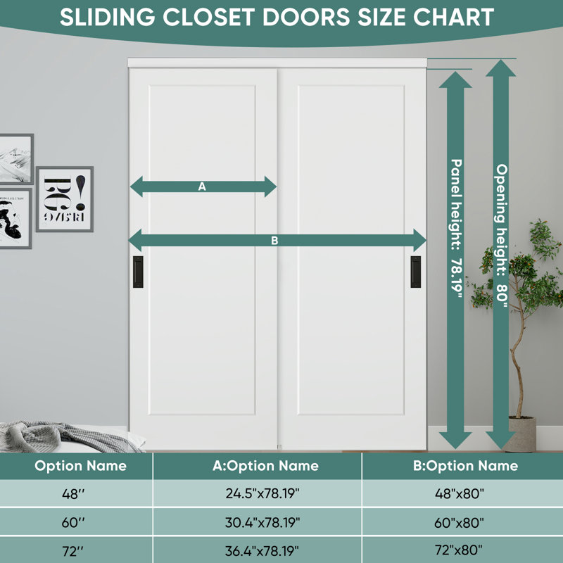 Portes de placard coulissantes 48 po x 80 po à 1 panneau avec finition blanche matte, 48 po x 80 po