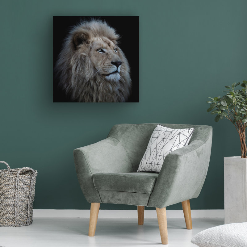 Wrapped Canvas Wall Art - Louise Wolbers 'Proud Lion' Wall Art for Living Room, Bedroom, or Office Décor - 14x14