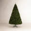 14 Ft. North Valley Spruce Tree-1841505921