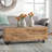 Balderas Coffee Table Trunk-74347501