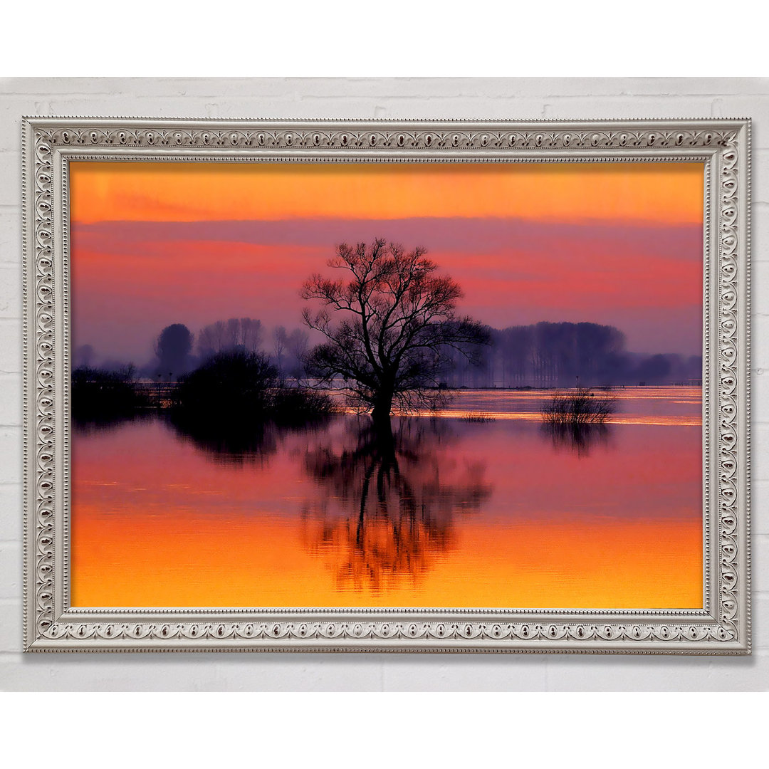 Orange Morning Reflections - Druck