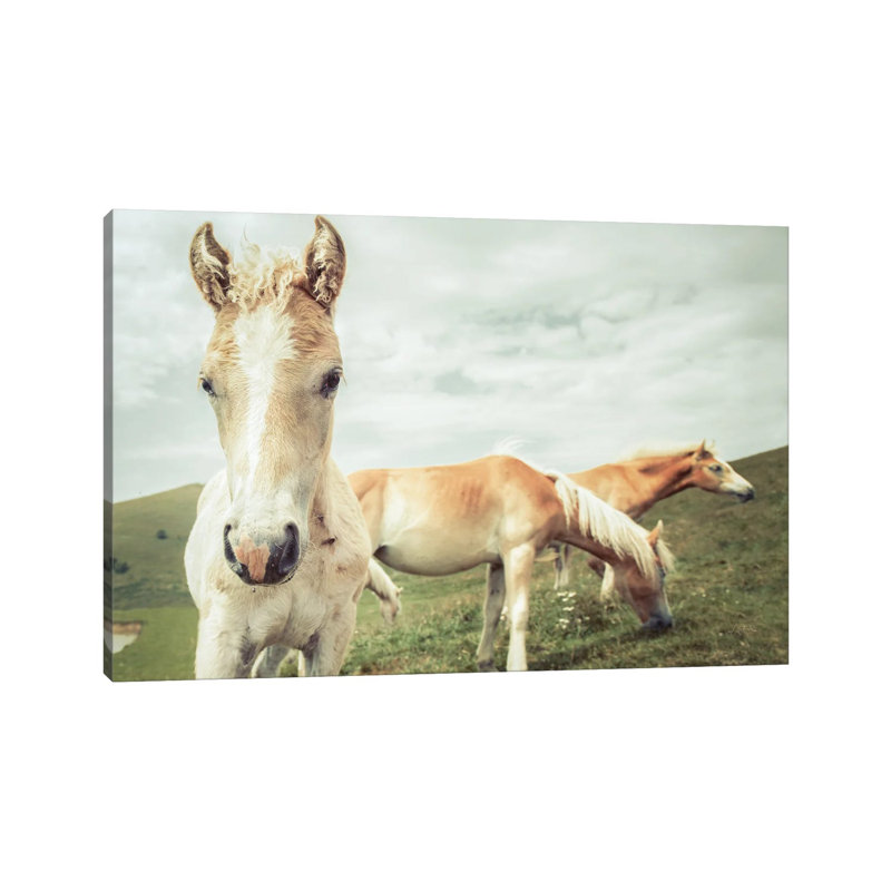 Three Buddies by Aledanda - Wrapped Canvas Painting, 30.48 cm H x 45.72 cm W