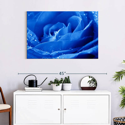 Harnek Dewy - rose bleue