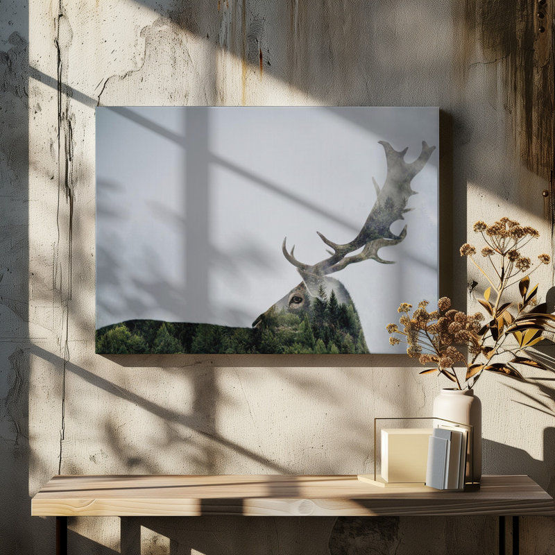Wrapped Canvas Print, 50.8 cm H x 76.2 cm W