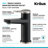 Indy Bathroom Faucet with Drain Assembly