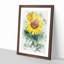 The Sunflower - Single Picture Frame Print on MDF-56924477-56924478