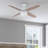 Frittelli 44'' Ceiling Fan with LED Lights and Remote Included-2044223687