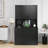 Pharsalia 39.36 " W Armoire-884607470